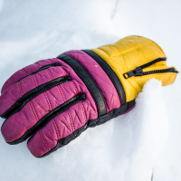 Glove